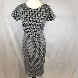 Cato black and white textured sheath dress size 6 NWT